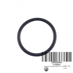 O-RING