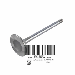 EXHAUST VALVE 31 MM