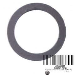 GASKET RING