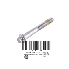 FLANGED TORX SCREW M6 X 45