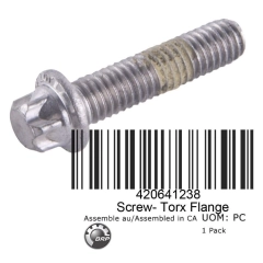 FLANGED TORX SCREW M6X25