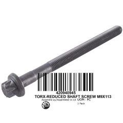 FLANGED TORX SCREW
