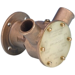 Bronsepumpe BRZ FLG 040 HOSE