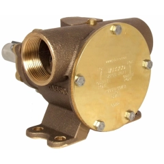 Bronsepumpe BRZ PED 200 BSP NEO