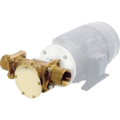 Bronsepumpe HK 200 FLG NE